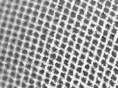 Graphene Oxide Membranes for Organic Solvent Filtration