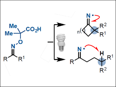 Accessing Elusive Molecular Carbon Radicals