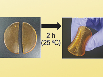 Robust Self-Healing Polymer