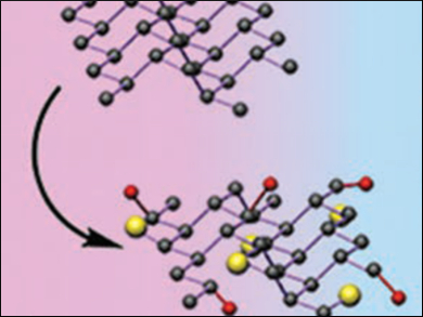 Black Phosphorus Nanosheets Protect Nerve Cells