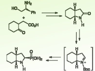 First Stereoselective Synthesis of Octahydroindole-2-phosphonic Acid