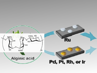 Renewable Alternative to Cellulose