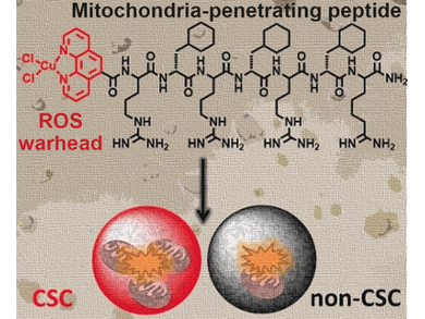 Malignant Mitochondria as a Target