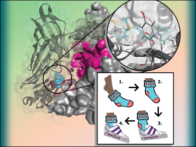 Mechanism of Protein Arginine N-Methyltransferases