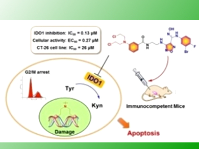 Better Cancer Immunotherapy