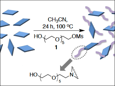 Water-Dispersible Organic Nanodots as Bioimaging Probes