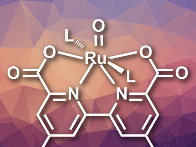 Key Intermediate in Water Oxidation Catalysis Characterized