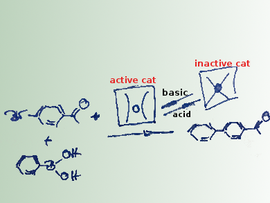 Air- and Water-Stable Suzuki–Miyaura-Reaction Catalysts