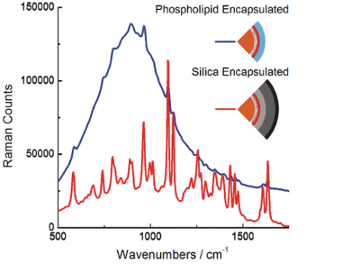 Ultrabright Raman Reporters for Biodiagnostics