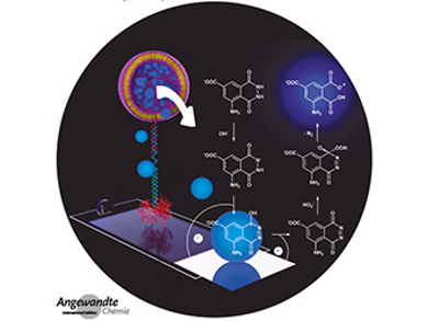 Angewandte Chemie 2/2018: Eliminate and Maximize