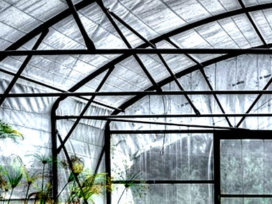 Bayer’s Greenhouse for Insecticide Research