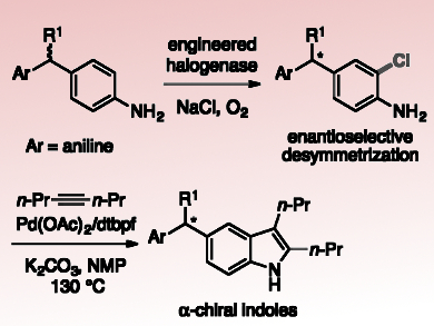 Enzyme-Catalyzed Remote Halogenation