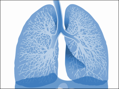 Connection between Gut Bacteria and Asthma Risk