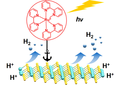 Modified MoS2 Nanosheets for Hydrogen Evolution