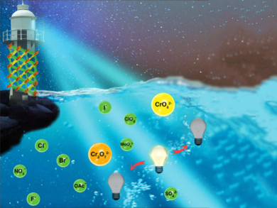 Highly Sensitive Chromium(VI) Sensor