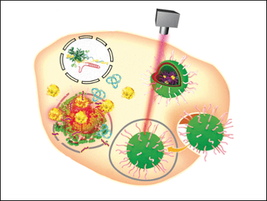 Gold Nanoparticles for the Delivery of CRISPR-Cas9 Therapeutics