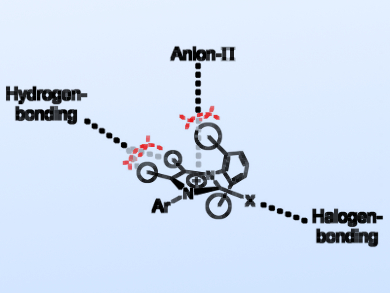 How Haloimidazolium Salts Interact with Anions