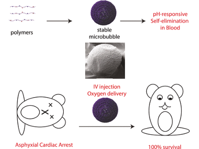 Lifesaving Microbubbles