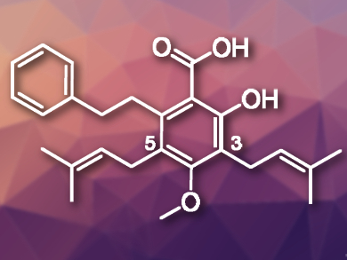 First Total Synthesis of Amorfrutin C