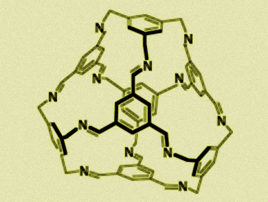 Synthesizing Shape-Persistent Organic Cages