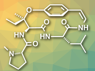 First Total Synthesis of Ceanothine D