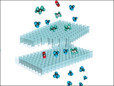 Carbon Nanoplates with Uniform Micropores