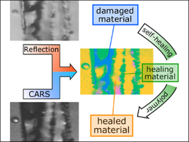 Understanding Self-Healing Polymers