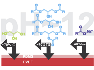 Streamlined Biodiesel Purification