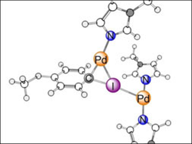 Palladium Atoms Team Up for Oxidative Additions