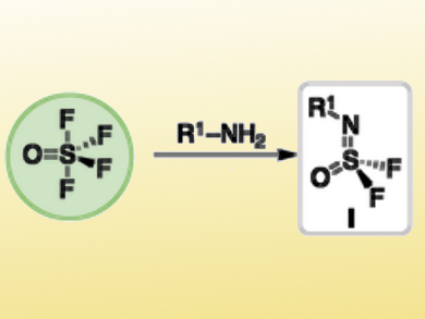 Thionyl Tetrafluoride Click Chemistry