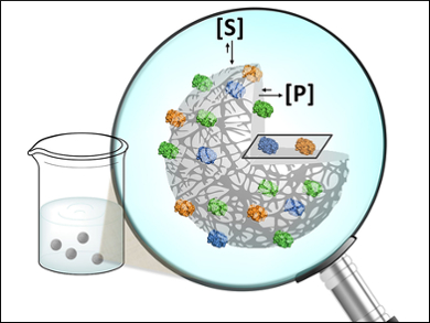 Better Characterization of Heterogeneous Biocatalysts