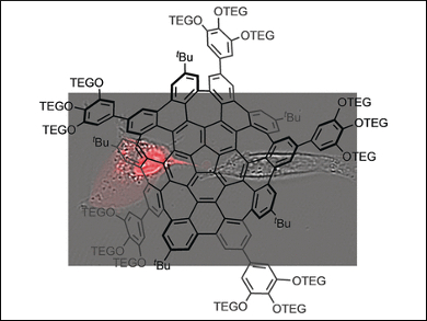 Water-Soluble Warped Nanographene