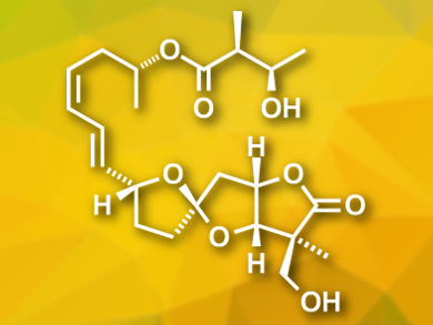 Total Synthesis of ent-Ascospiroketal B