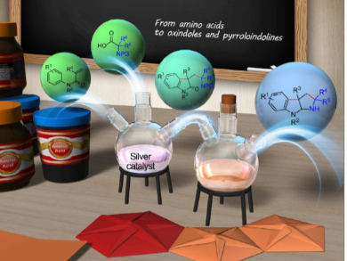 Amino Acids as Versatile Synthetic Precursors