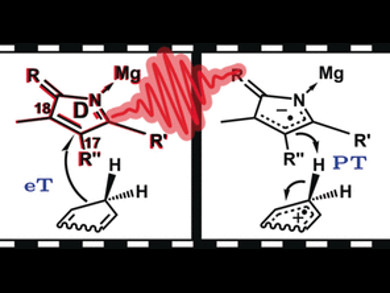 Hydrogen Transfer: One Thing after the Other