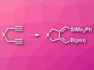 From 1,6-Diynes to Highly Substituted Cyclic Compounds