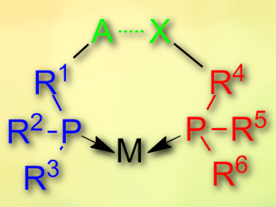 Using Halogen Bonds to Build a Catalyst