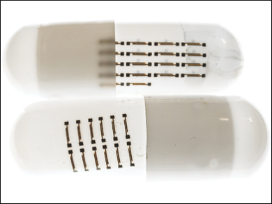 Organic Edible Electronics for Point-of-Care Testing
