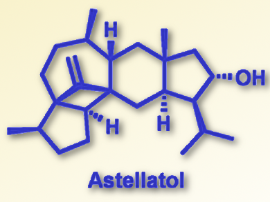 Total Synthesis of Astellatol