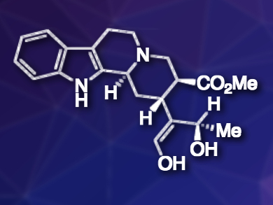 New Monoterpene Indole Alkaloid