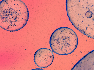 Smuggling Biologics into Cells in Microvesicles