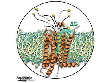 Angewandte Chemie 12/2018: Exchanges