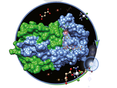 Activation of Platinum and Ruthenium Anticancer Prodrugs