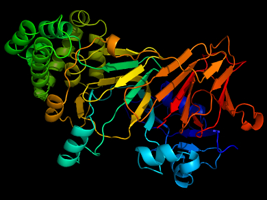 Creating Organisms That Depend on Artificial Amino Acids