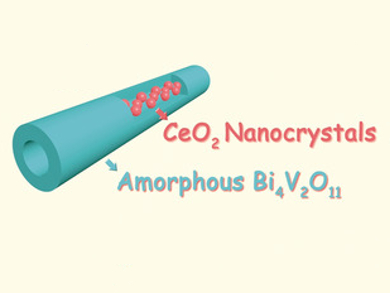 Noble-Metal-Free Electrocatalyst for N2 Fixation