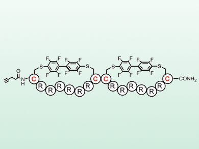 Cell-Penetrating Peptides for Oligonucleotide Delivery