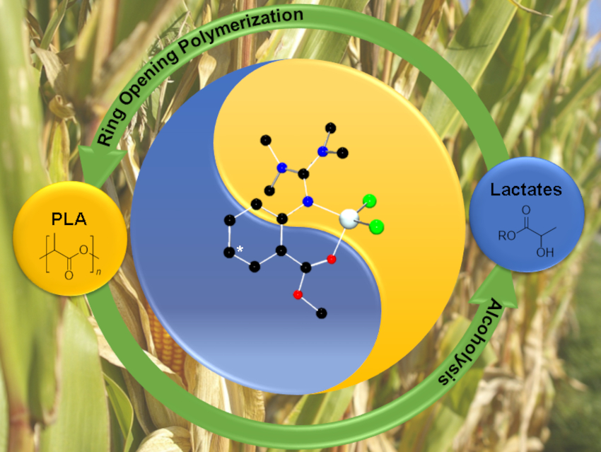 Chemical Recycling of Renewable Polyesters