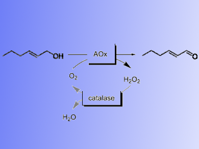 Biocatalytic Synthesis of trans-2-Hexenal