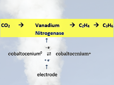 C–C Bond Formation with CO2