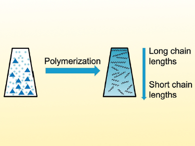 Control of Molar Mass Distribution in Polymers